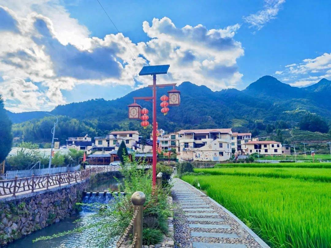 南阳镇坝头村:畲村振兴展新颜_产业_乡村_文明