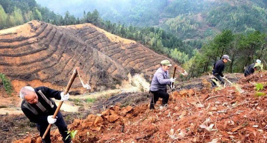 农民自行开垦的荒山荒地到底归谁所有?_土地管理法_政策_荒滩