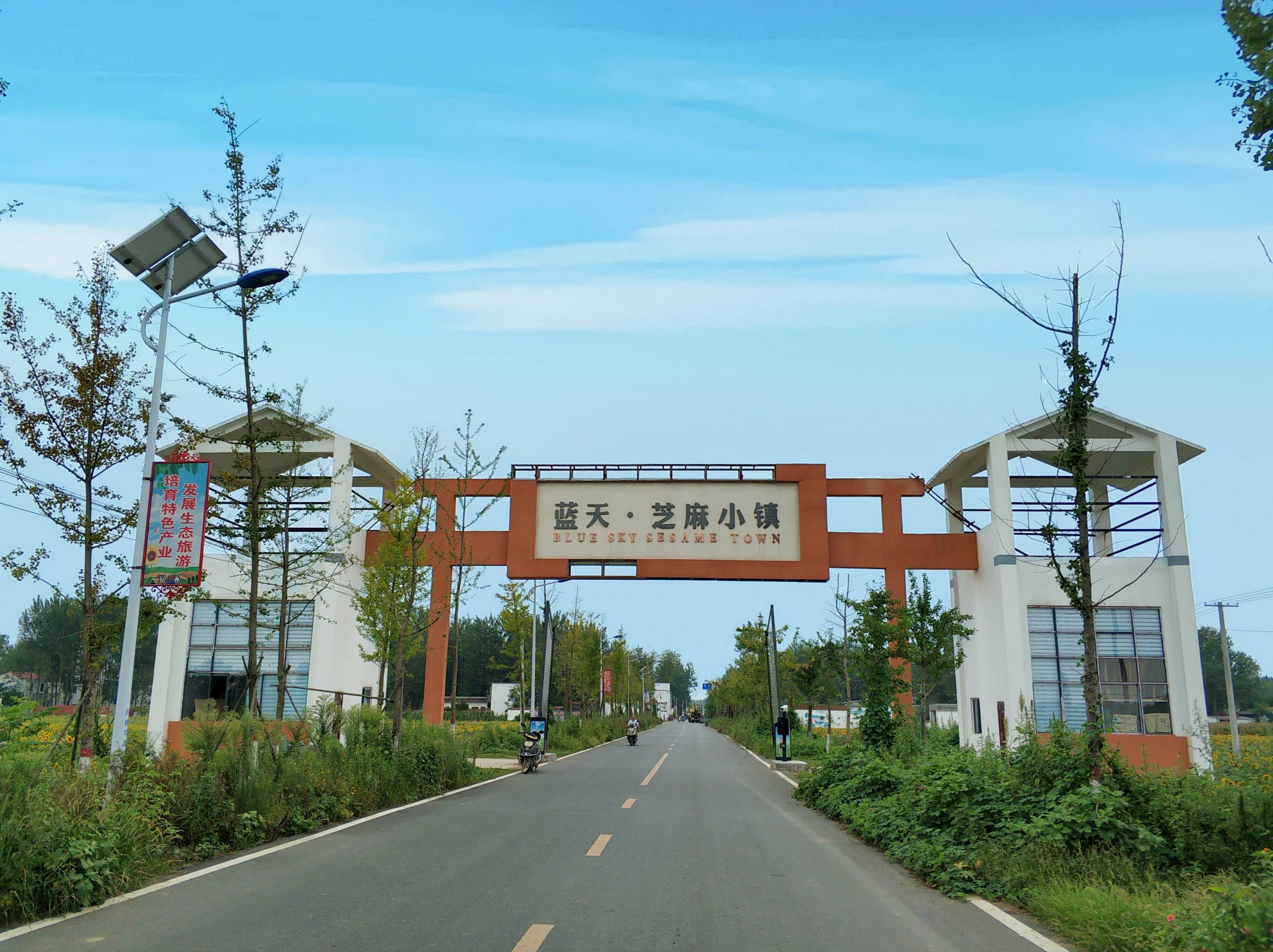 平舆芝麻小镇车祸图片