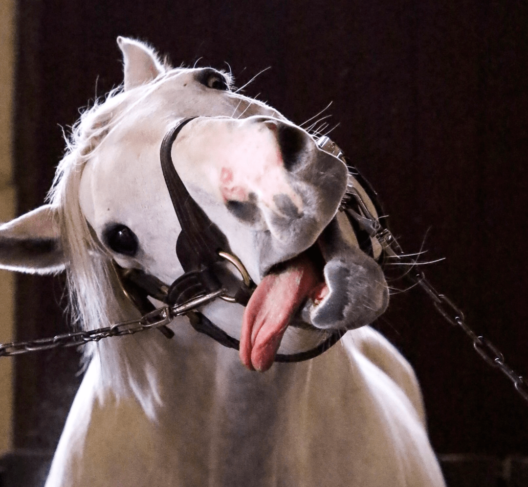 深刻一点的,有源自动画中草女士堪比白学的"那我呢".