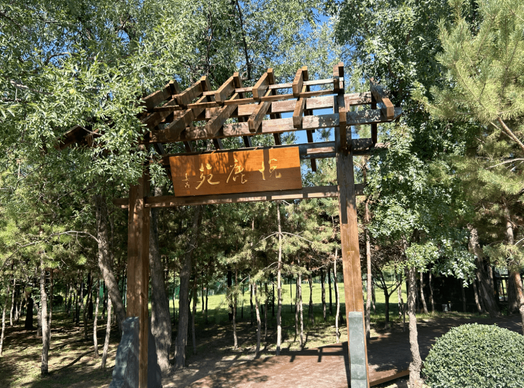 灵武枣博园迎来"新客人"啦!_梅花而_梅花鹿_鹿苑