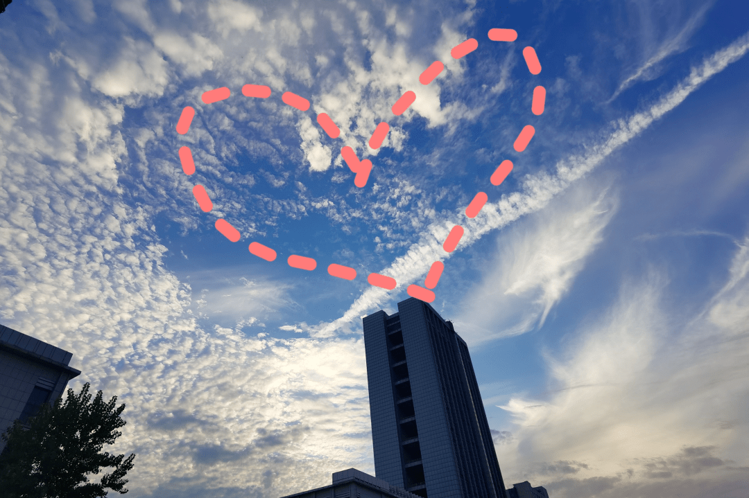 的早晨里晚accomplish(完成)早creativity(创造力)05奔跑的人生最美丽