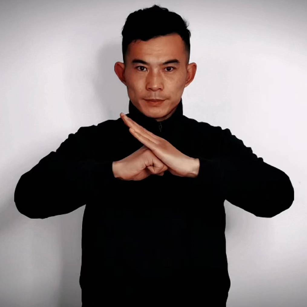 完整版24式太极拳分解动作＋正面背面全解动图（值得收藏）_弓步_收脚_步抱
