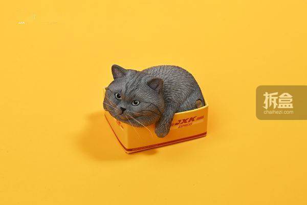 0 网红可爱橘猫懒猫宠物摆件手办_出货_官方_纸盒
