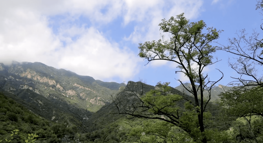 《我的桃花源》第三季 走進北京房山區 開啟一場中醫康養之旅_景區