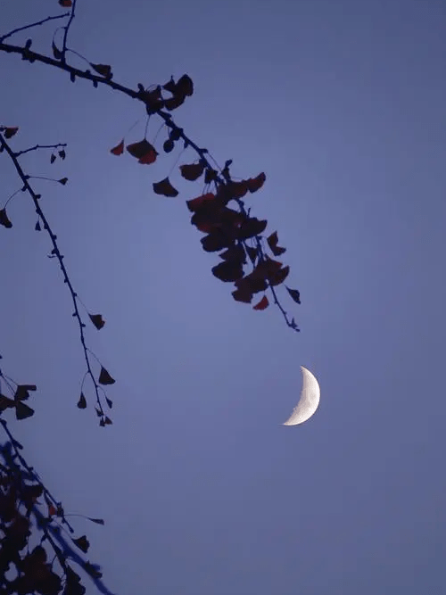 永远的牵挂