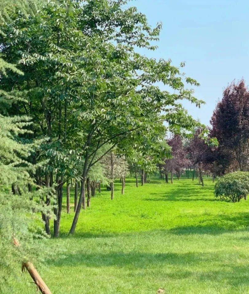 杜邑遗址公园,开启新学期的精彩旅程_自然_朋友_友谊