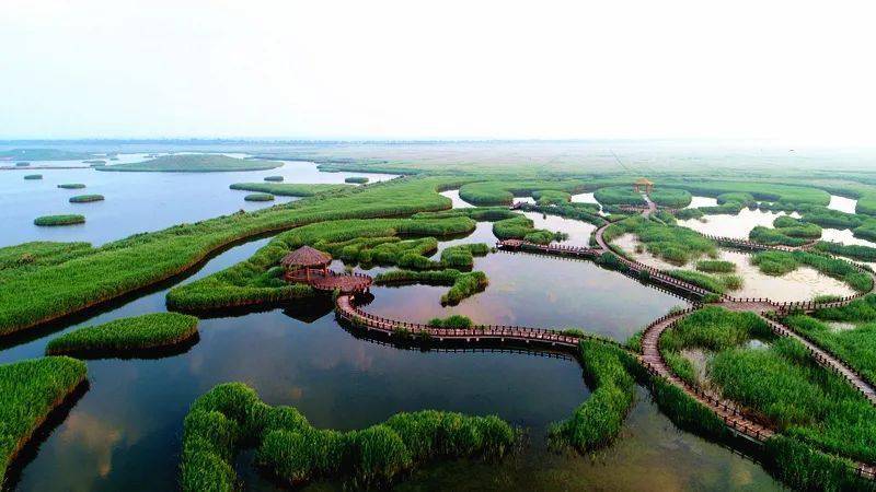 沧州渤海新区南大港湿地生态修复及价值实现案例入选省级典型案例