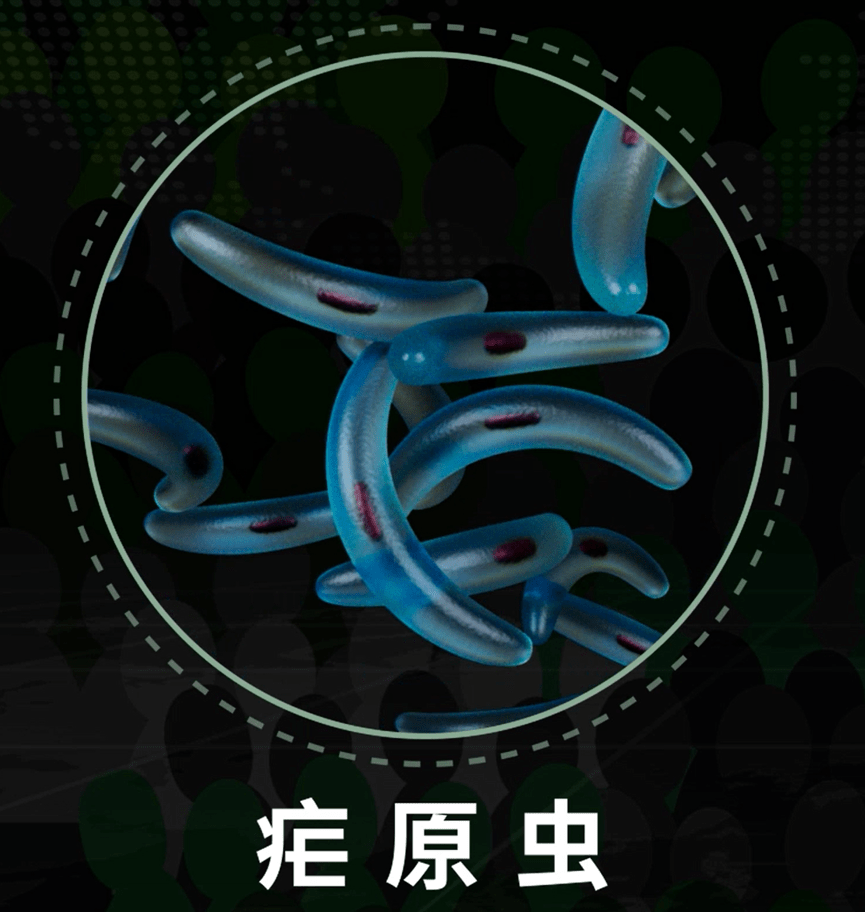 德国缺少药理学家的故事——奎宁和氯喹_科普_美国_药物