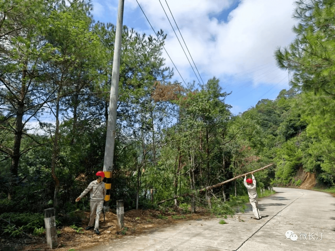 工作_台风_重点