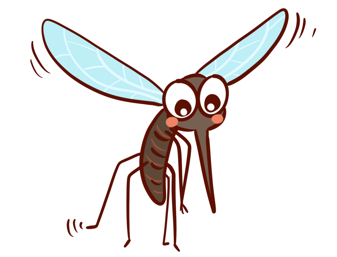 蚊虫叮咬，当心患上它_搜狐网, image size:1080x823