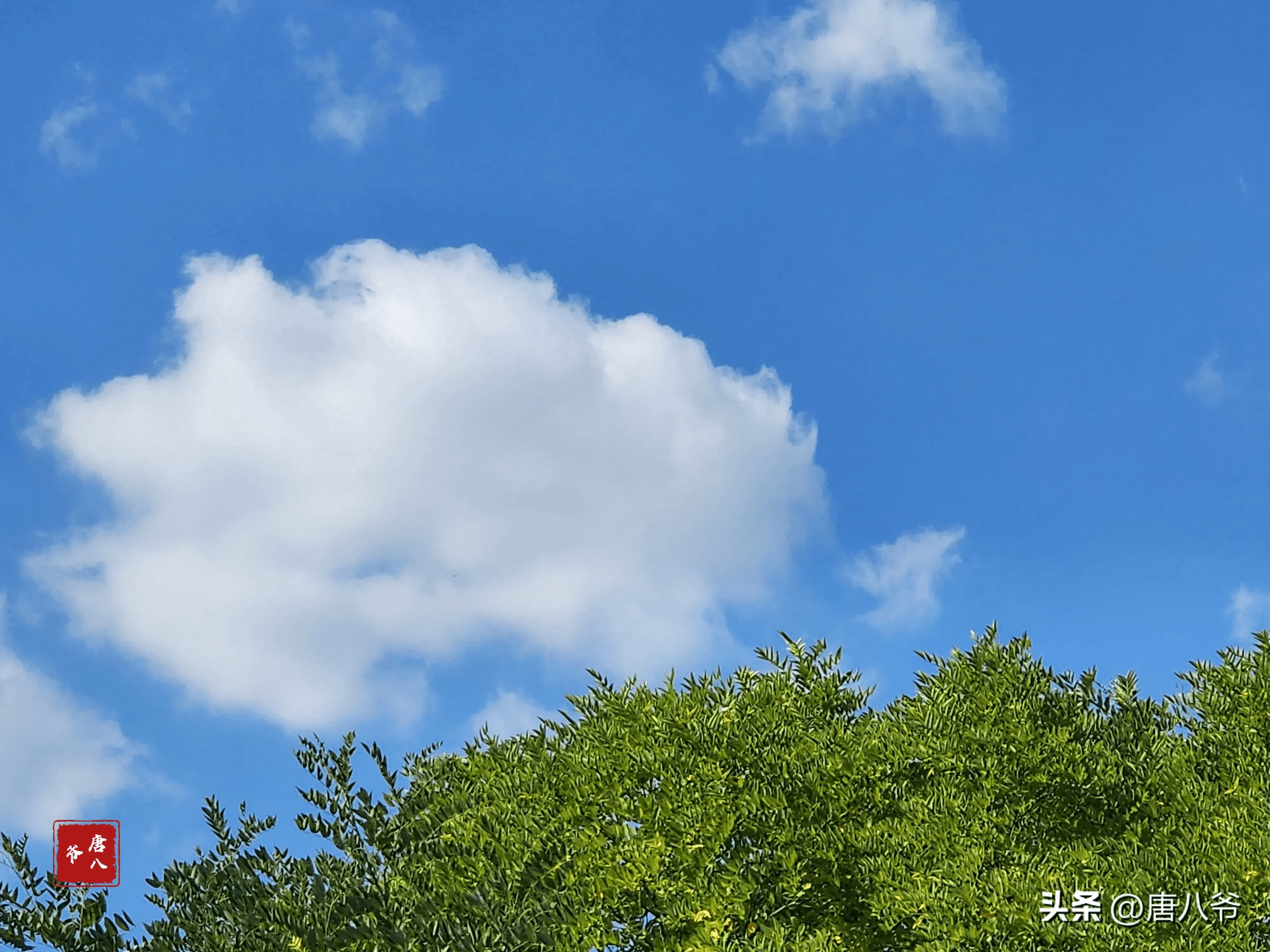 湛蓝的天空唯美图片