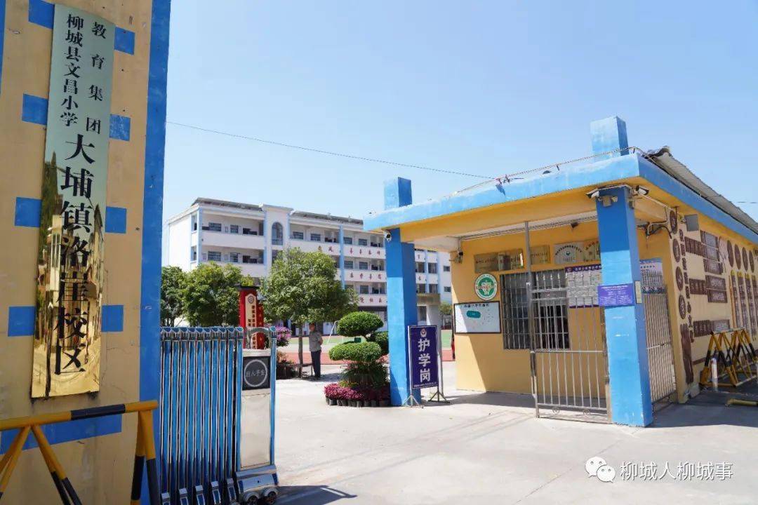 柳城这个校长牛……_篮球_大埔镇_陶青