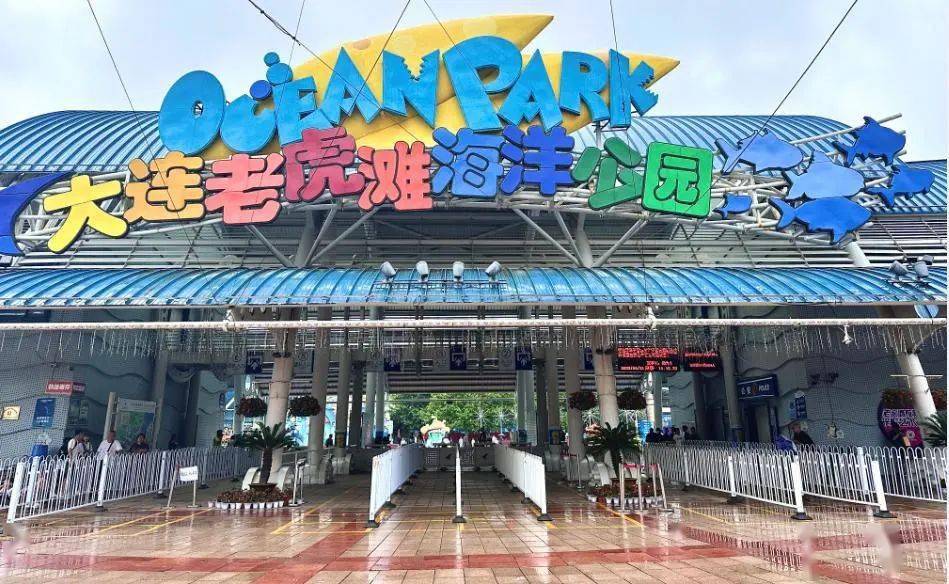 "云"游老虎滩极地馆,看白鲸抽国内免费机票