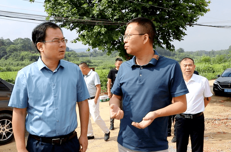 太平关乡望新村,天红镇庙前村,杨梓镇双丰村实地调研集体经济发展情况