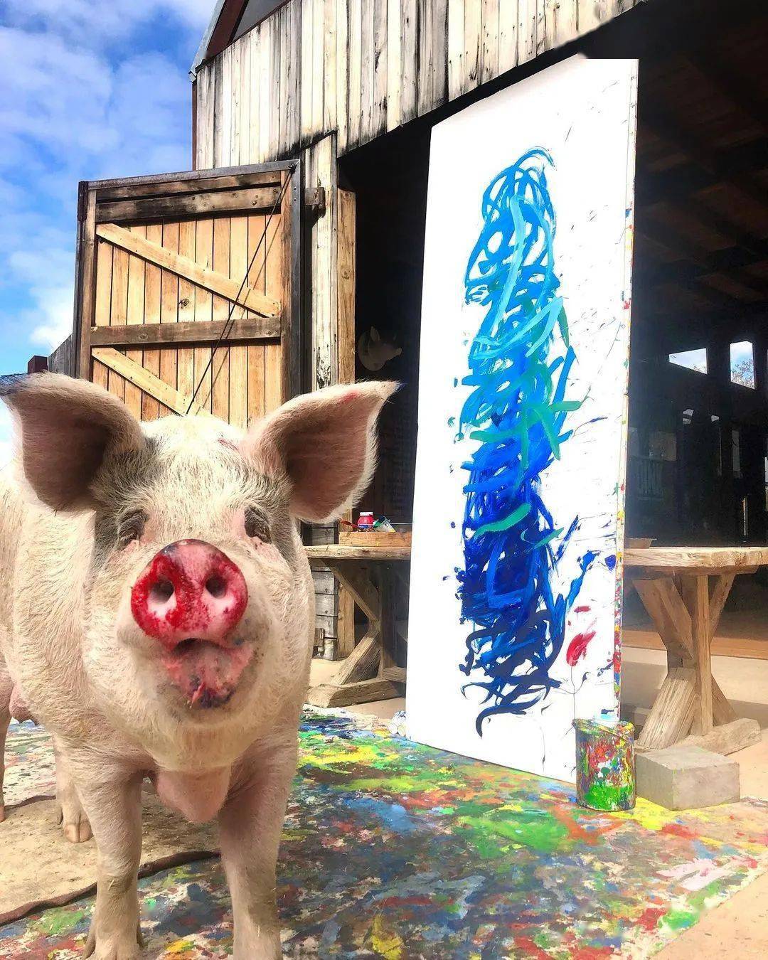 joanne_画作_动物