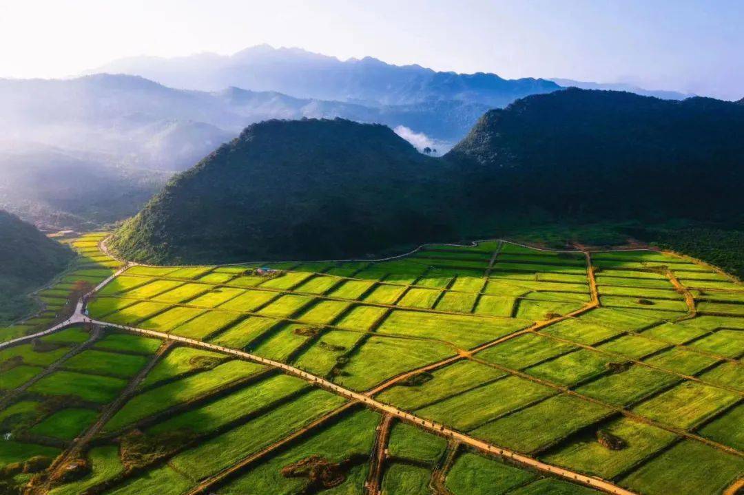 【县乡人大】连平县内莞镇:人大代表助力村集体经济发展跑出"加速度"