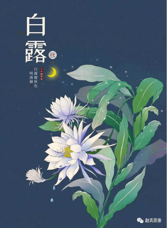 今日白露节气早安问候语温暖句子 白露朋友圈文案唯美说说