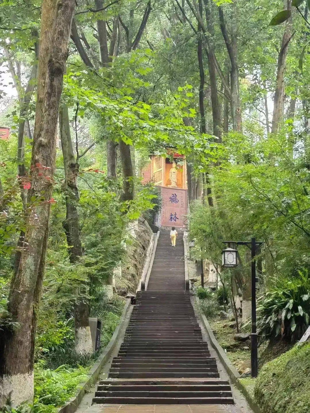 才知道在邛崃市城西三公里处,有座白鹤山,山中有座千年古寺——鹤林寺