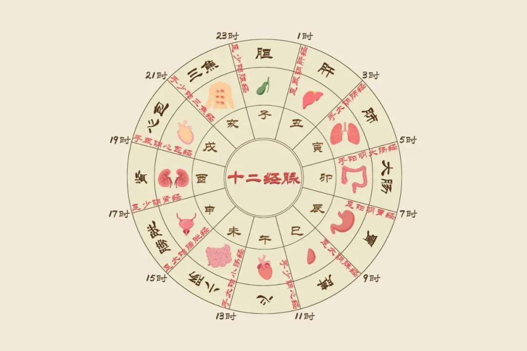 上焦_中焦_客人