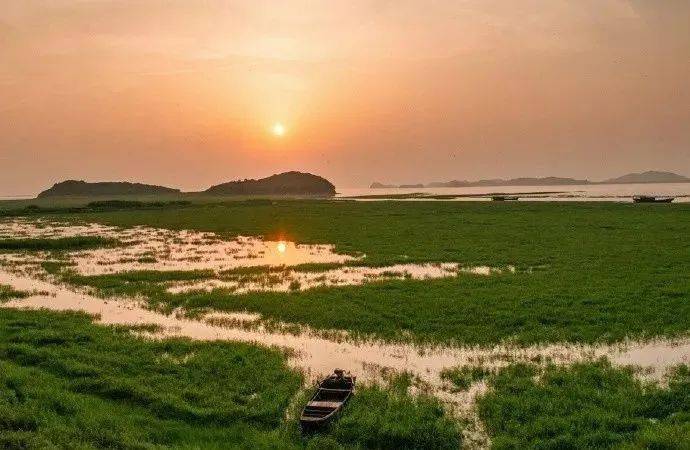 连央视都来打卡的 " 中国淡水珍珠之乡"!