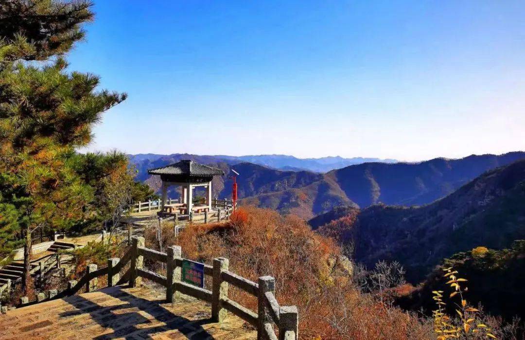 9月10日,所有老师免费啦~_景区_平度_门票
