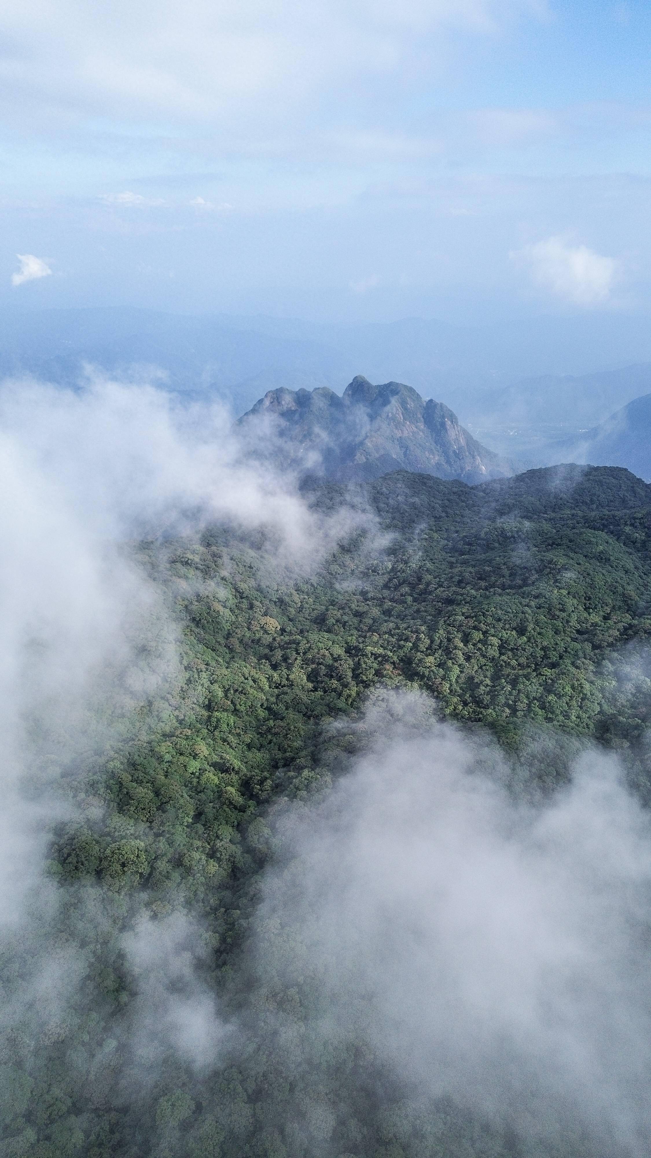 猫儿山,华南地区的一座高峰,一起去看看壮观的日出!