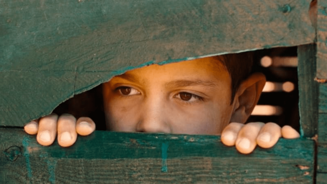 佳片有约 | 卡萨布兰卡的球童名叫米卡_电影_网球_故事