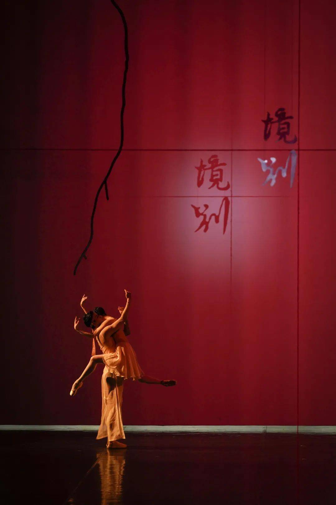明日上演丨中央芭蕾舞团×深圳交响乐团倾情演绎,大道至简的极致审美