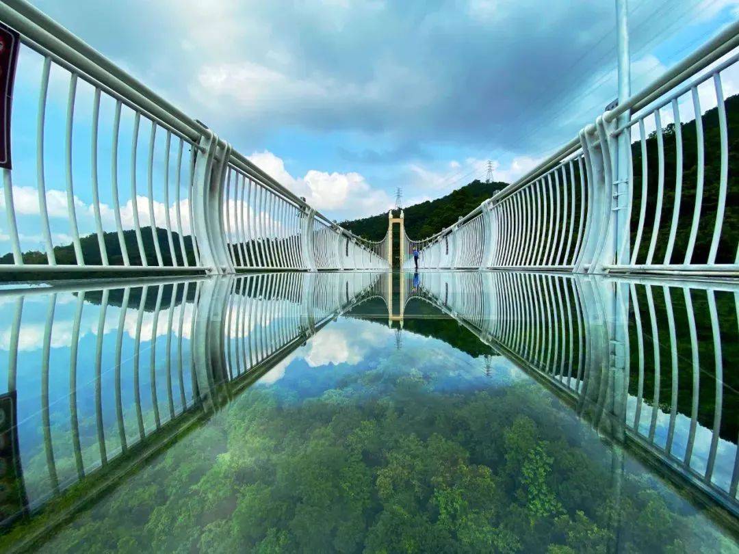 走在玻璃桥上犹如踏云而来~葱葱郁郁的丛林美景一览无余你要来挑战吗?