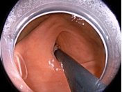 暗区突围辅助科技网