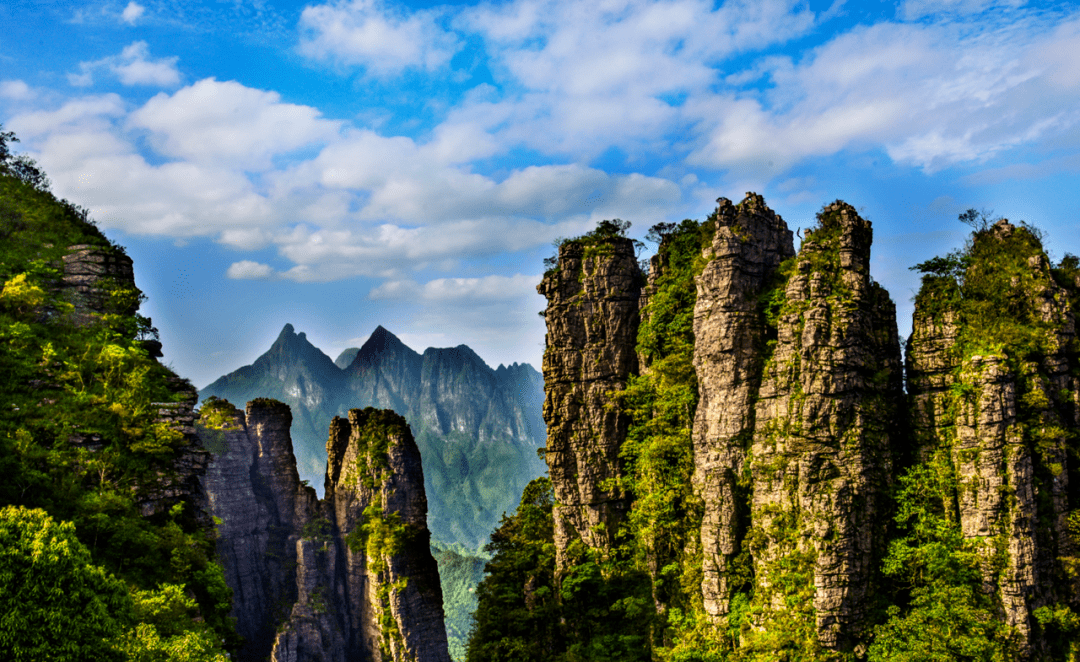 接着前往"天下银杏第一乡"桂林灵川县海洋乡,看百万株银杏为你开启