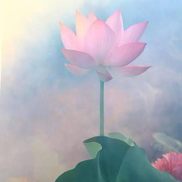 彭豆儿