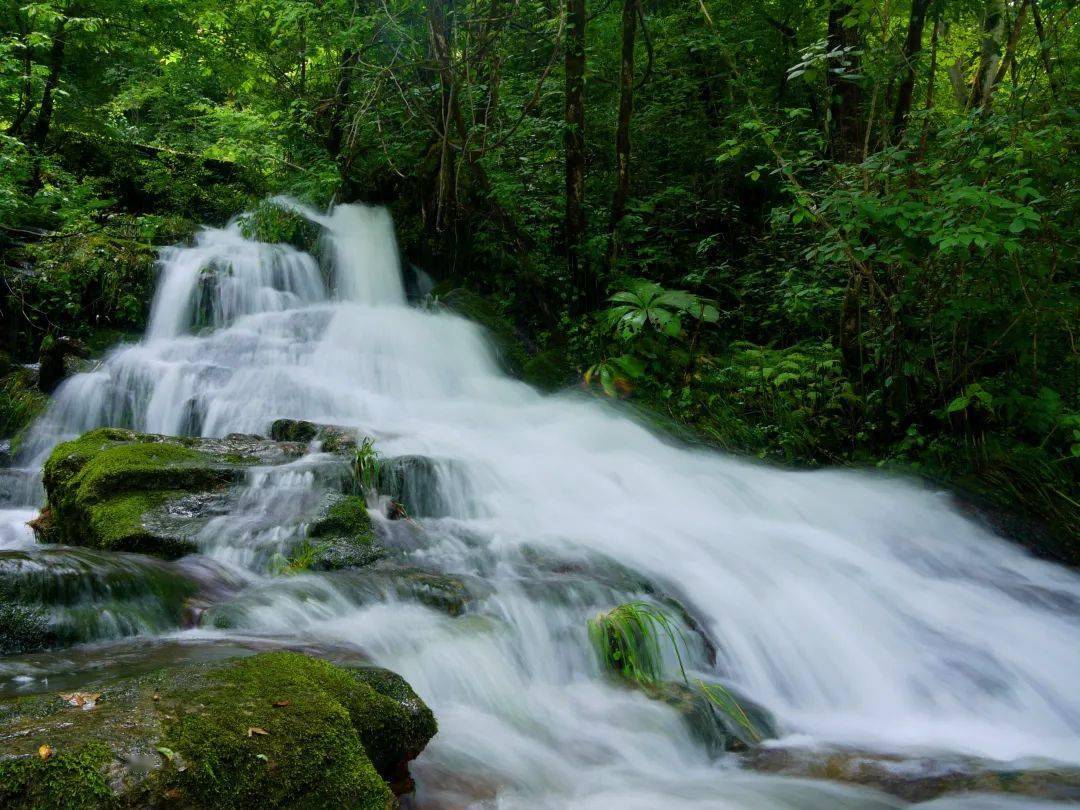国庆来这处宝藏景区邂逅山水秘境!_黄柏塬_原生态_太白县