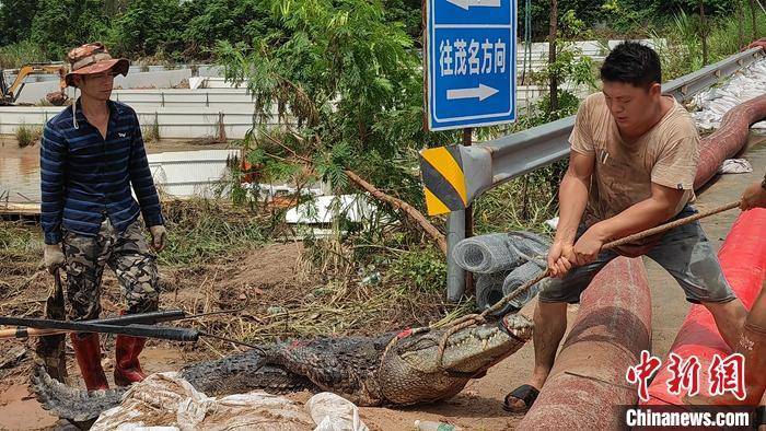火柴人部落