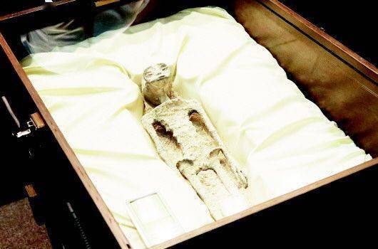 外星人遗体?真的假的?_阿维·勒布_听证会_众议院