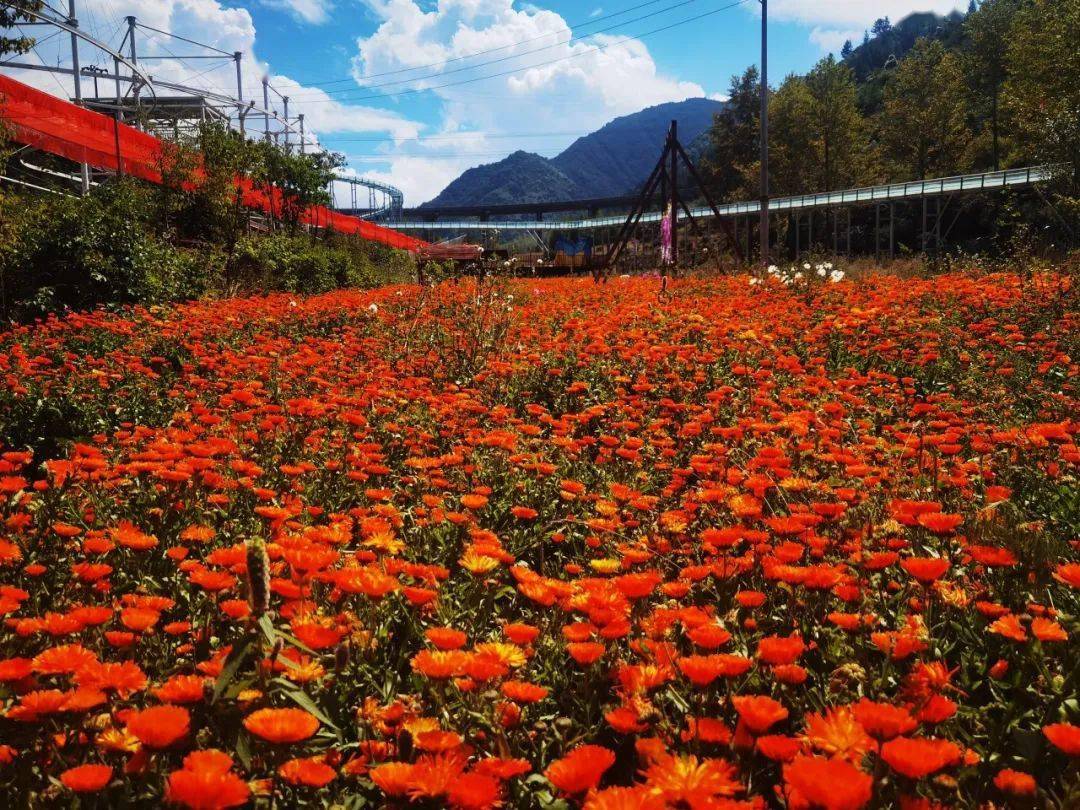 平安区石碑瑞丰生态旅游景区乐都区卯寨景区位于海东市乐都区高庙镇