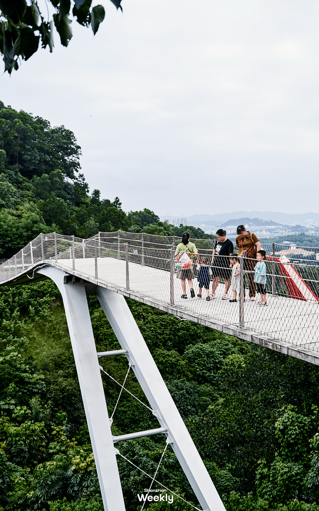 大顶岭绿道骑行图片