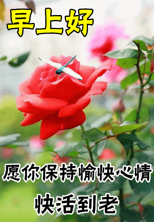 今日最新早安早上好精选，最新版早安问候漂亮动态图片_祝福_生活_世界