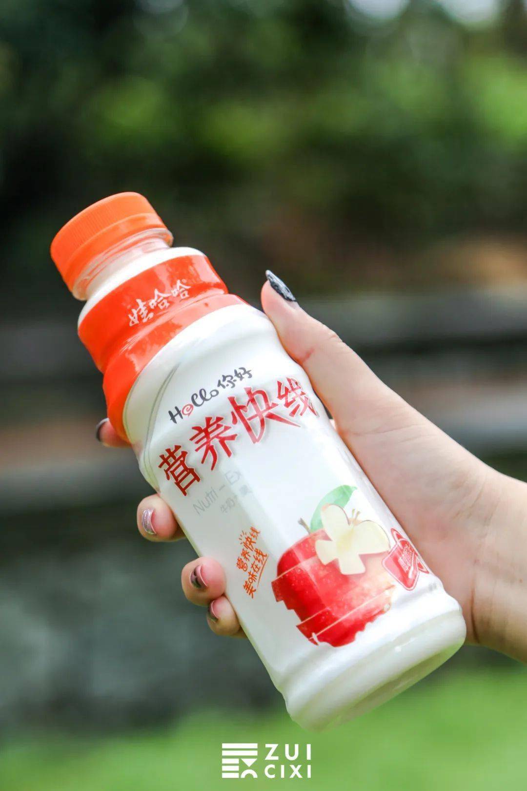 娃哈哈的营养快线,和李子园一样,都是小孩子爱喝的风味牛奶,小最最爱