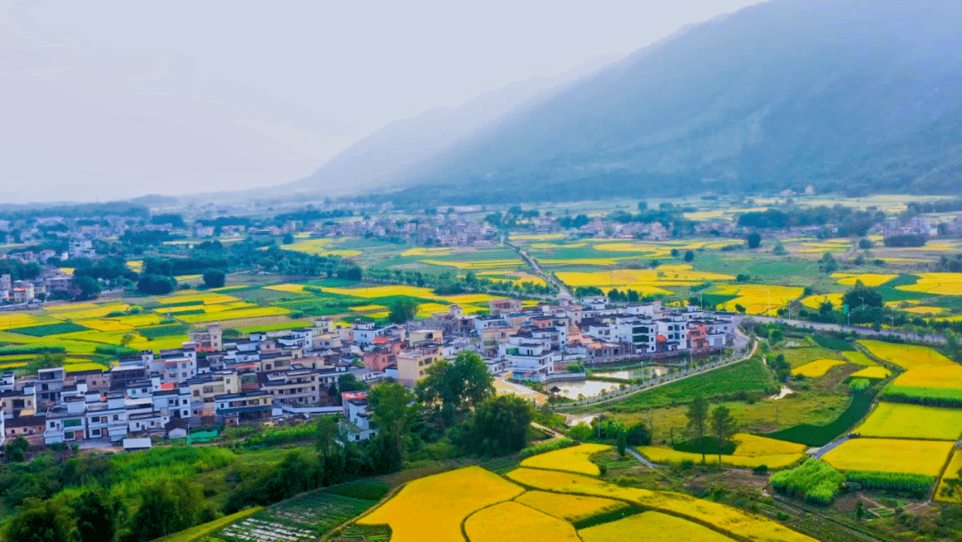 乳源这个国家级试点旧貌换新颜_桂头镇_整治_综合