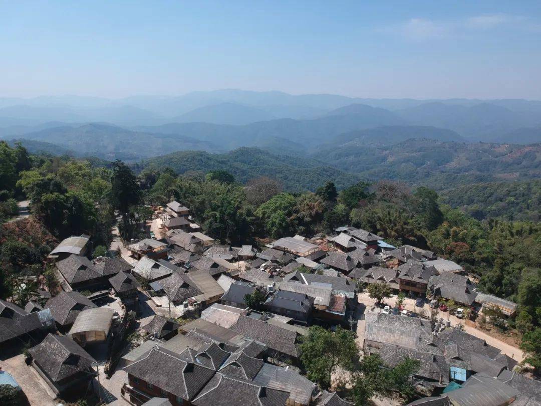 世界遗产在云南 景迈山申遗成功_茶林_景迈茶_保护