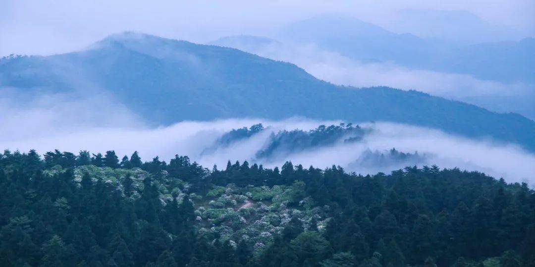 詩路天台┃《庚子三月重遊天台宿華頂寺尋桃源洞未至 二首》 潘天壽