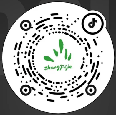 李蜜,周旋余薇薇,海伦,王金玉,歌梅拉组合马婷婷,吴丹,朱鑫,白雪玉婷