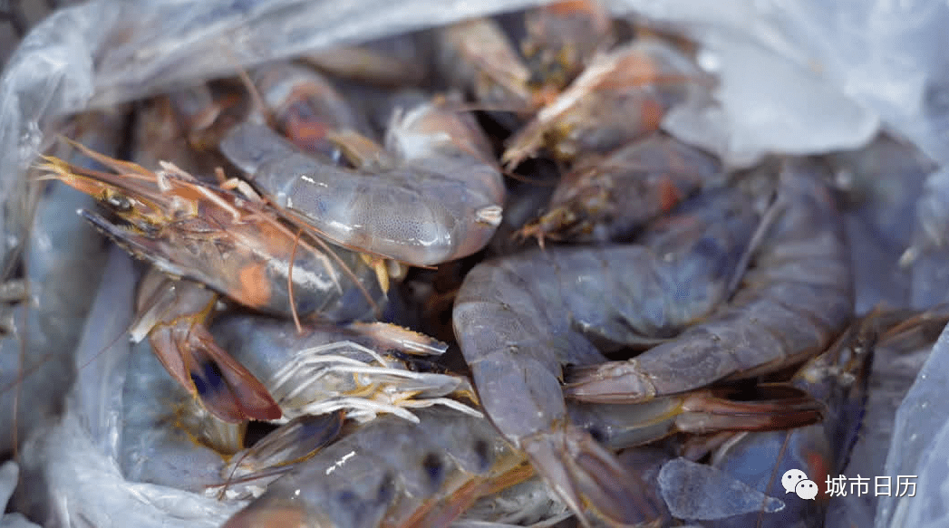 海安人的"海鲜自由"来啦!_鲳鱼_市民_吕四