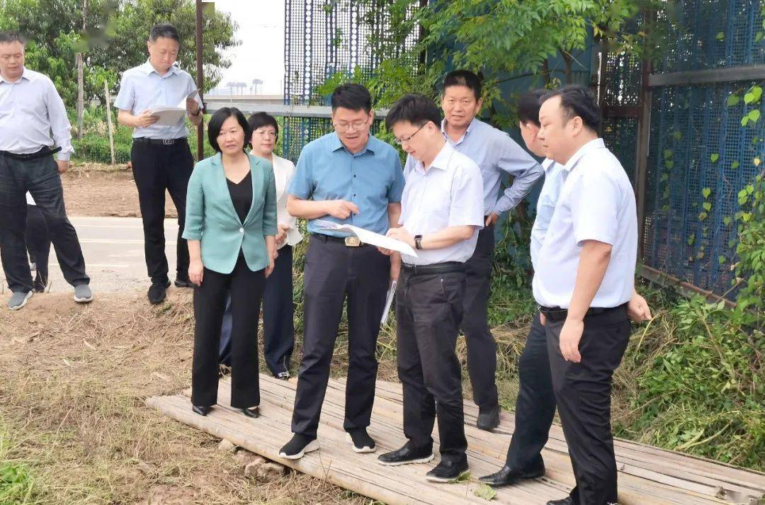 自然资源部调研组莅许调研非法占用农用地有关情况_长葛市_保护_耕地