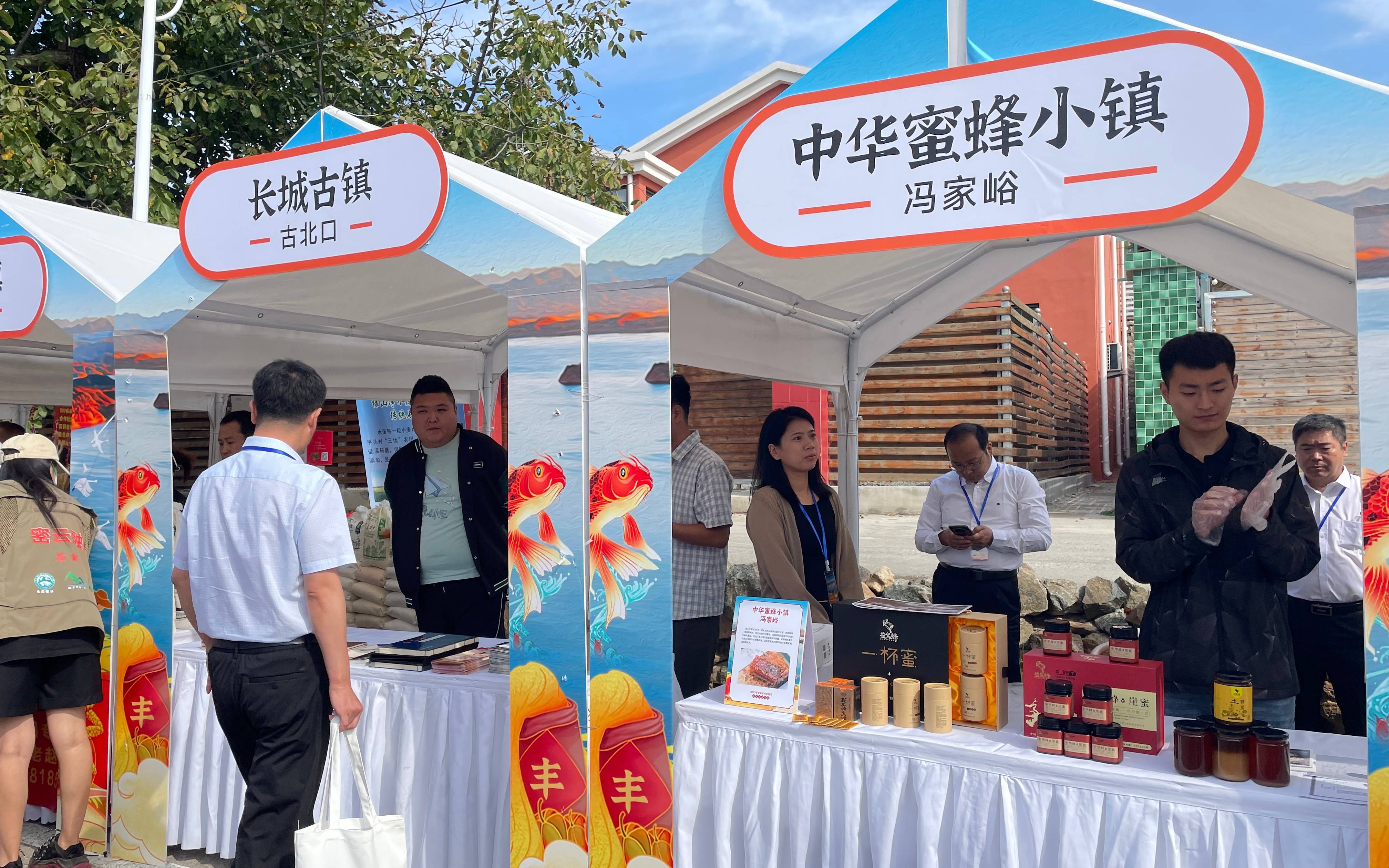 北京密云庆农民丰收节 在乡村营地举办音乐节摆美食摊