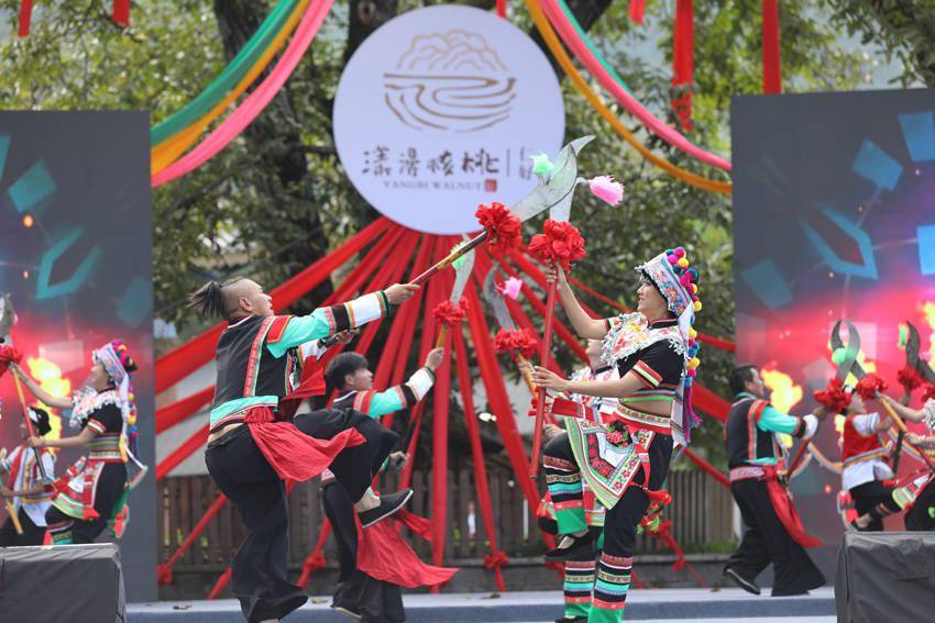 9月23日,云南大理漾濞核桃节开幕,图为开幕式上的少数民族歌舞展演.