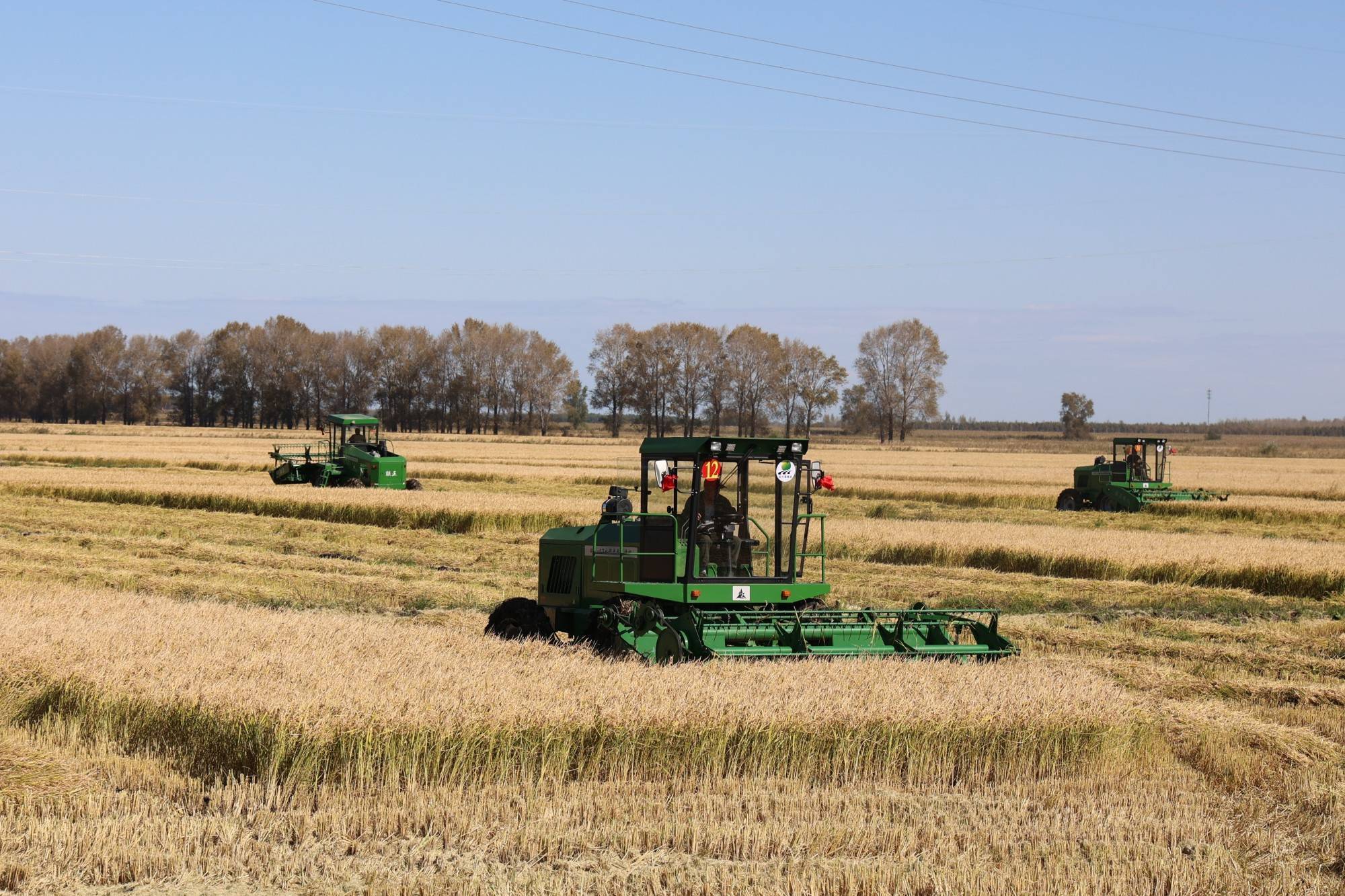 军川农场有限公司:高标准农田助力粮食丰产丰收_作业_格田_水稻