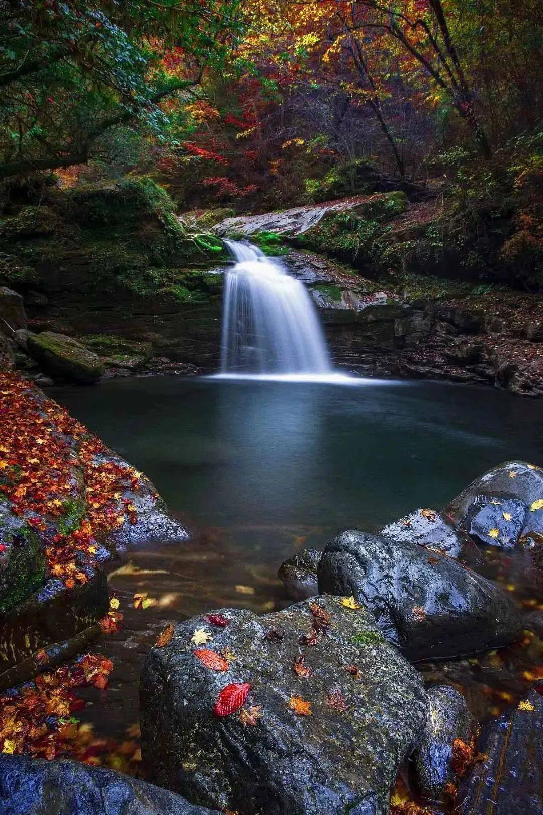 (门票免费,景交车及参与性项目不做优惠)千层河——aaa最极致的秋色了